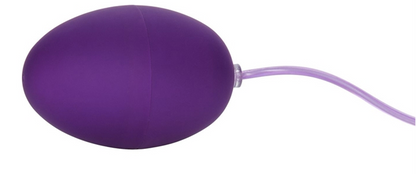 Pocket Exotics Waterproof Egg - Purple